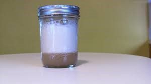 fermenting ale yeast