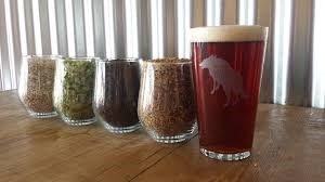 Carmel colored beer in glass with glasses of grain ingredients