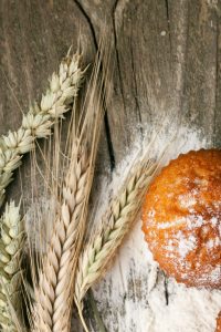 Wheat