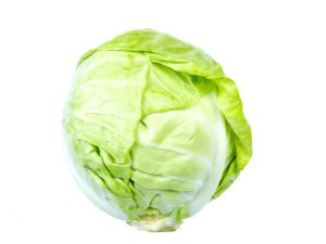 green cabbage head