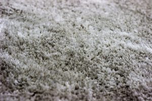 clean carpet