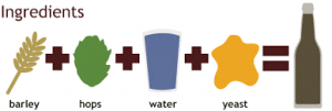 ingredients of beer drawing